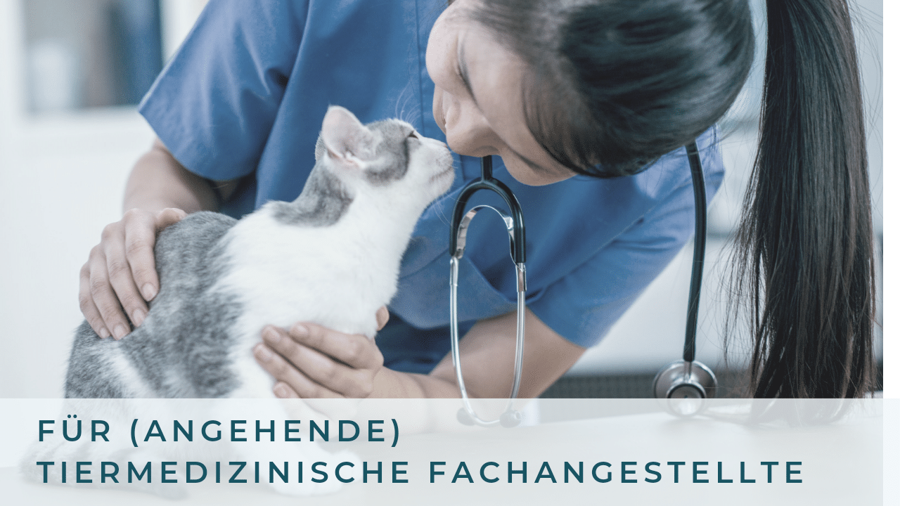 Angebot für (angehende) Tiermedizinische Fachangestellte